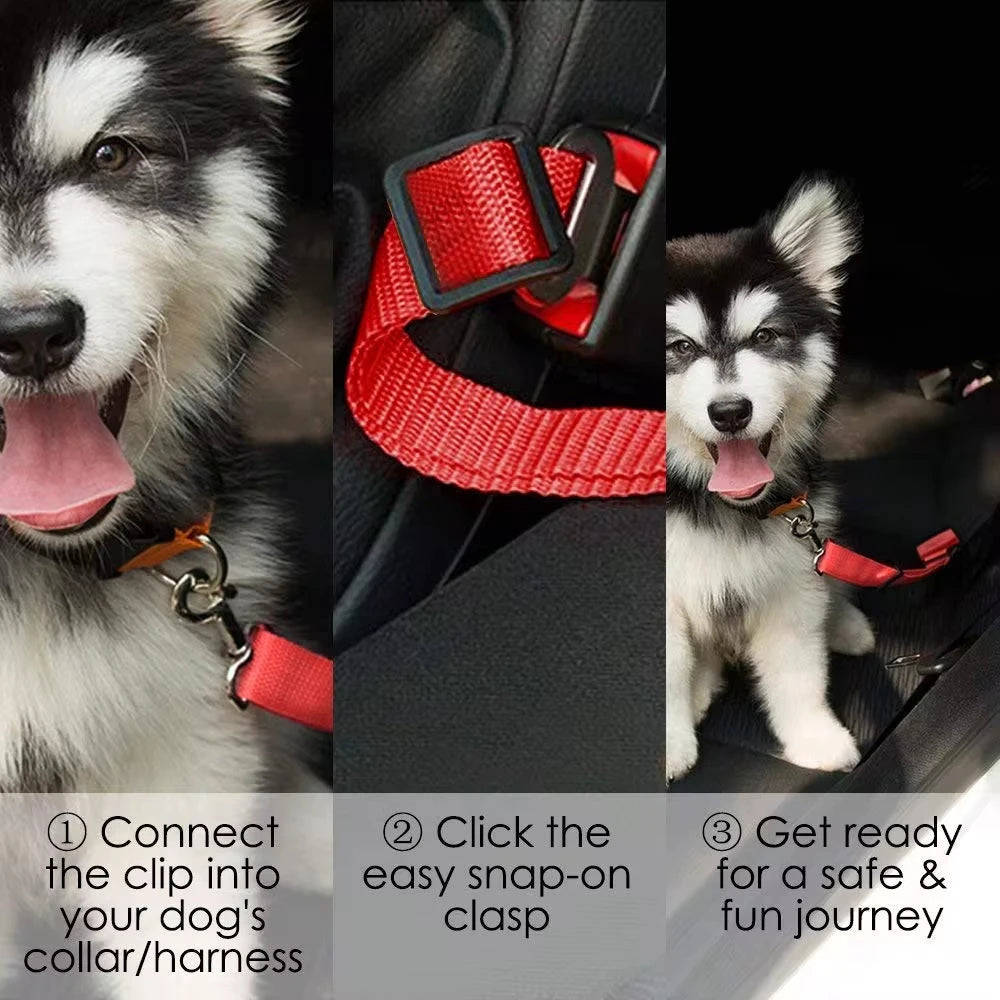 Car seat belt for Dogs