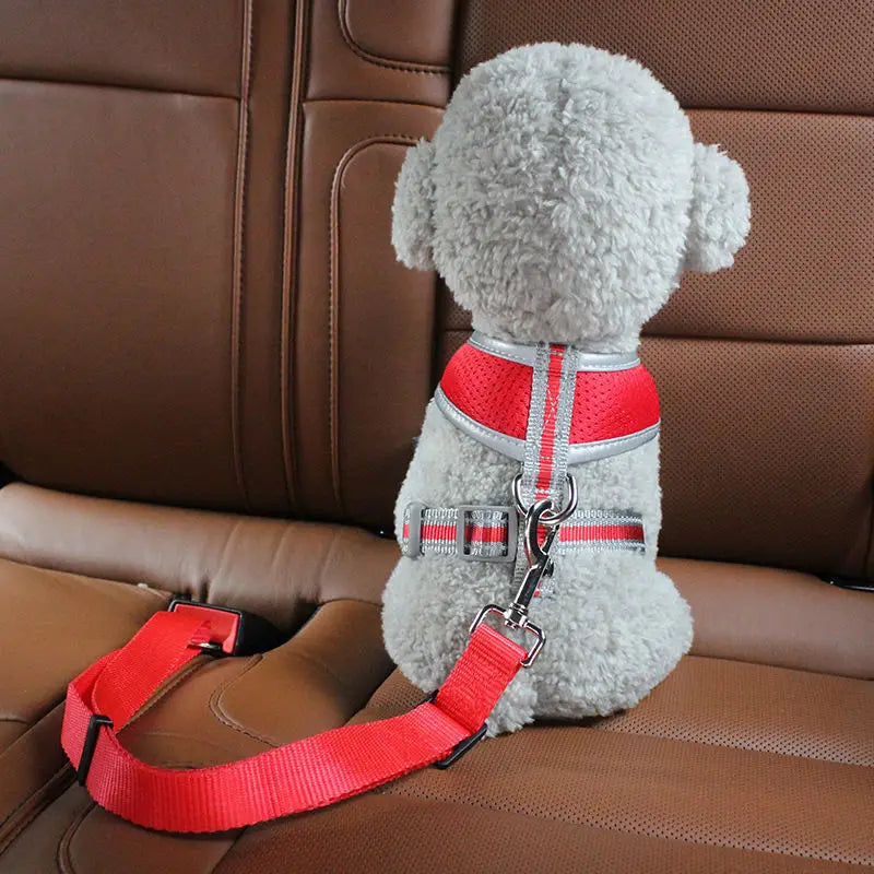 Car seat belt for Dogs